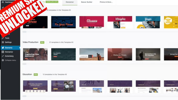 Unlimited Creative Assets Library (Themes, Video & Graphics)